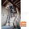 LG15147 (4-15 ฟุต) บันไดไฟเบอร์กลาส DARK HORSE LITTLE GIANT